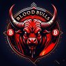 BloodBullsTeam